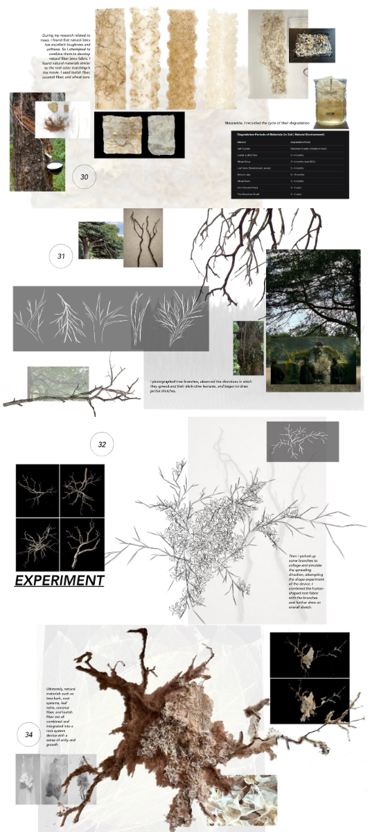 The healing roots, portfolio item 14