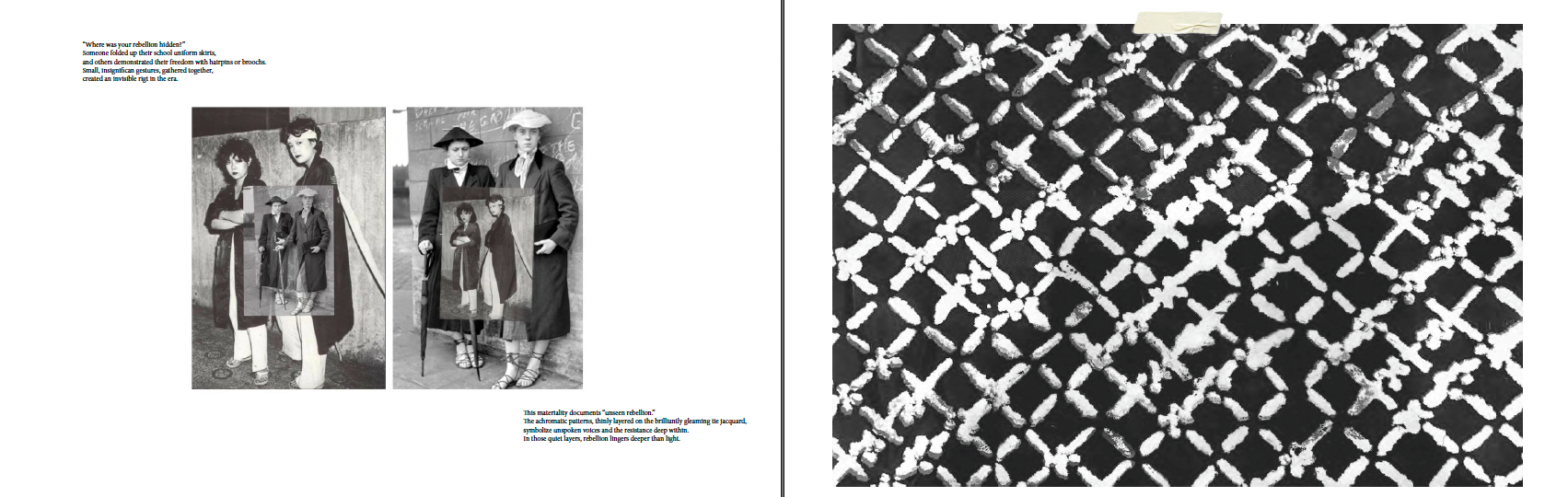 TIE REBellion, portfolio item 12