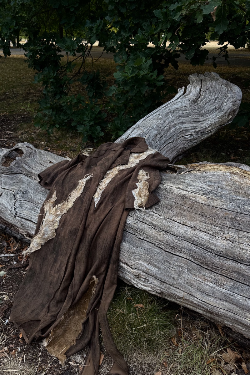 The healing roots, portfolio item 5