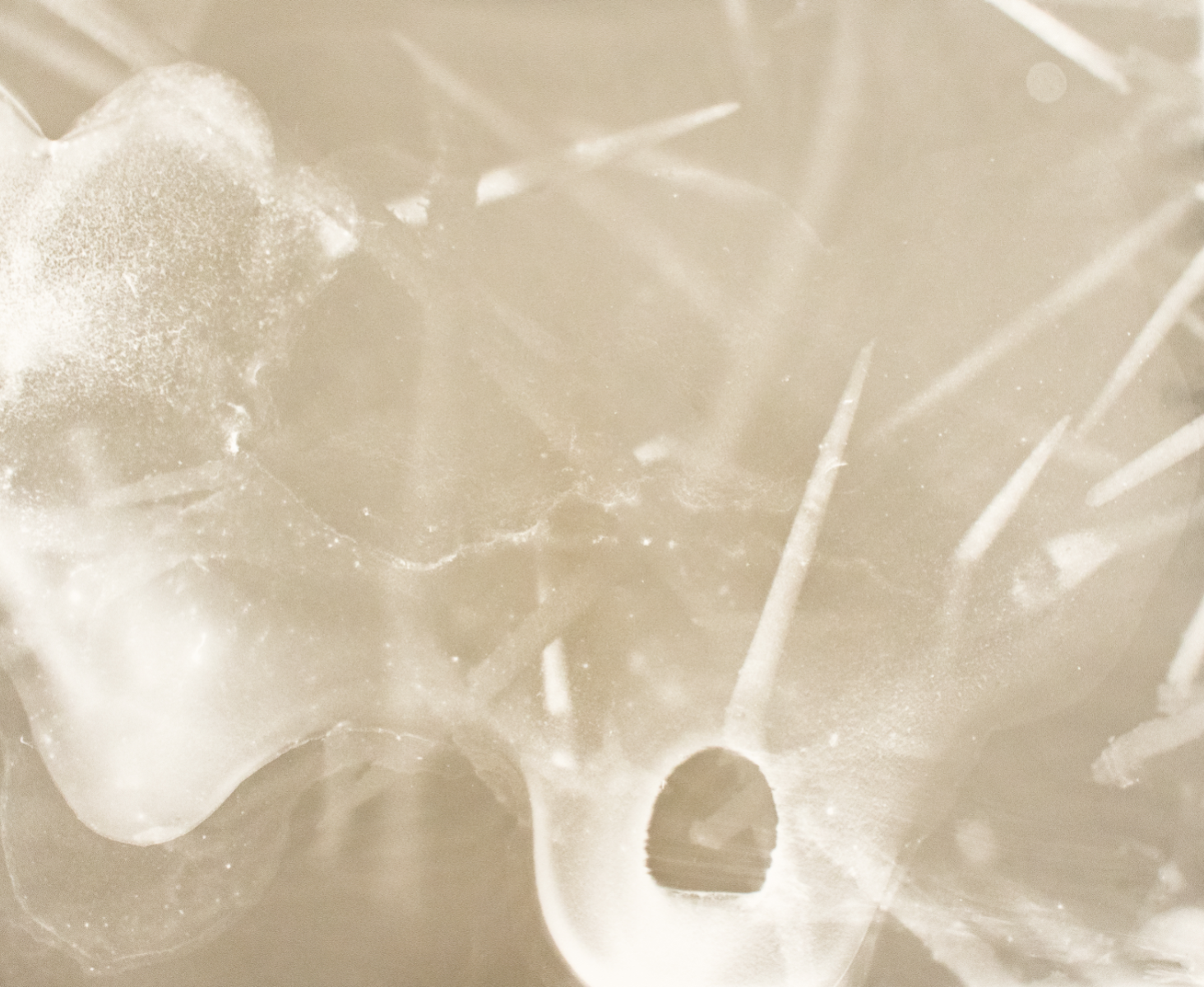 Grounded, portfolio item 9
