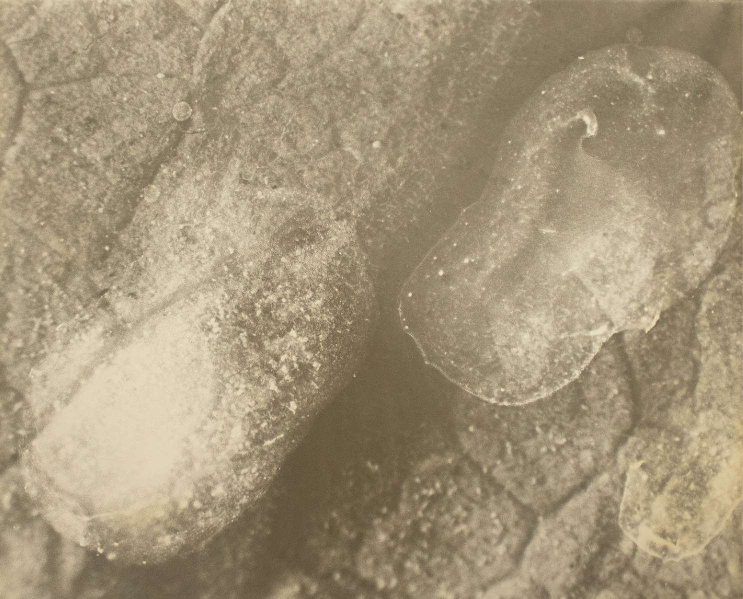 Grounded, portfolio item 10