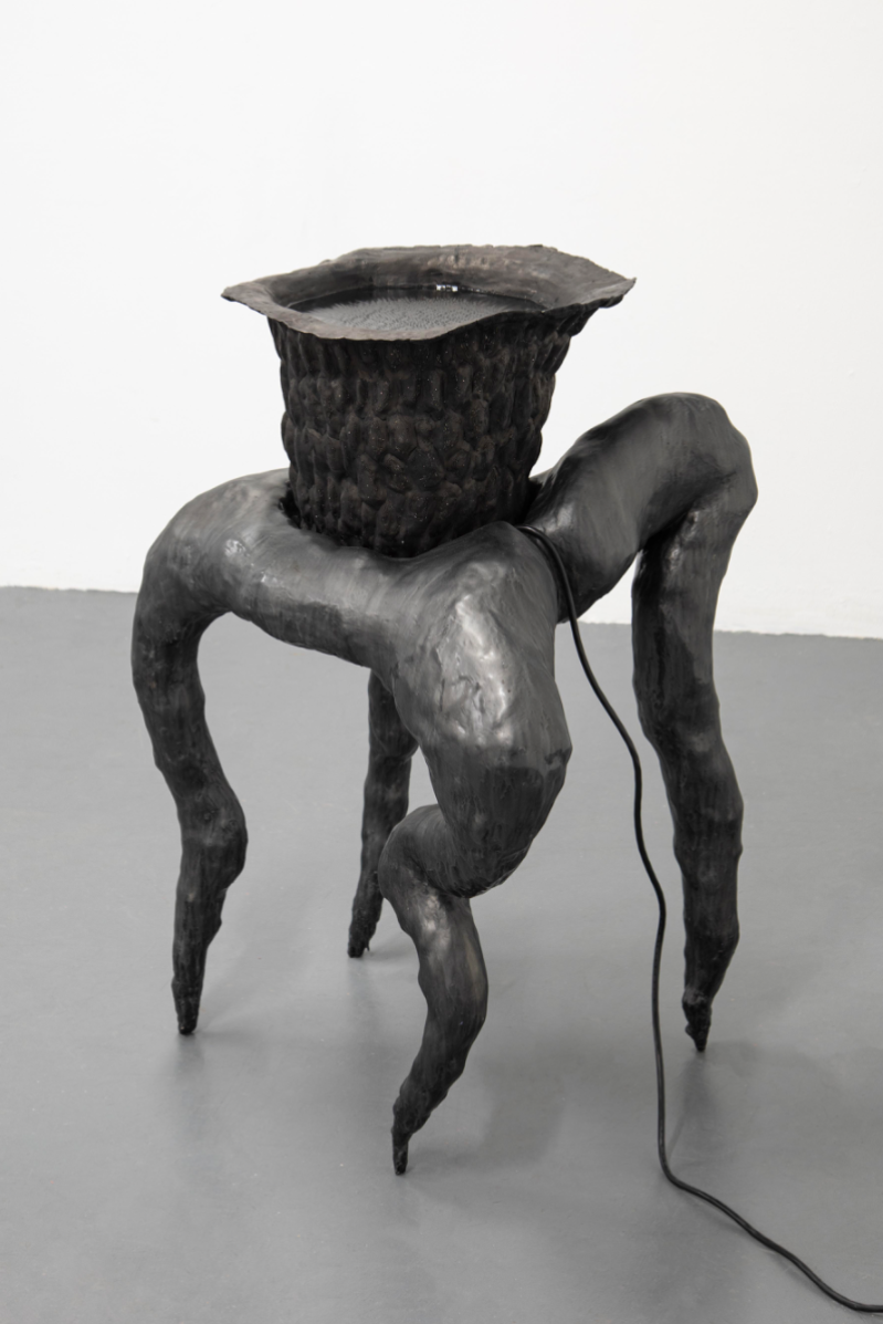Brackish water, portfolio item 7