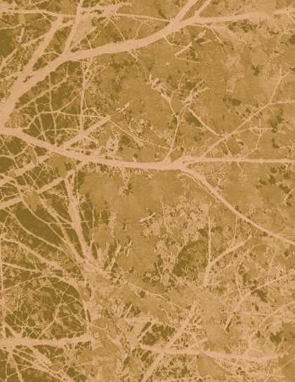 sadie-hunt ArtsThread Profile