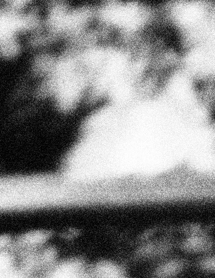 karolina-wjtowicz ArtsThread Profile