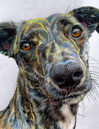 louisa-howden ArtsThread Profile