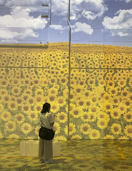 ariana-sehra ArtsThread Profile